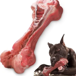 Dog Chew Toys for Aggressive Chewers