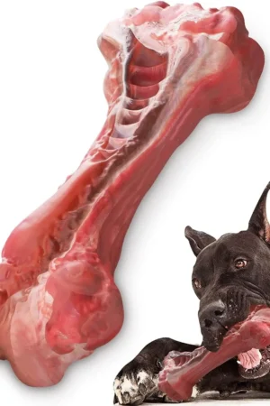 Dog Chew Toys for Aggressive Chewers