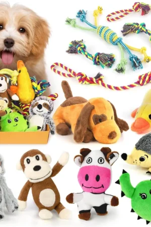 Dog Squeaky Toys for Small Dogs