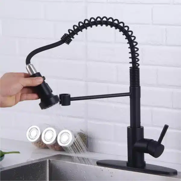 Kitchen Faucet with Pull Down Sprayer