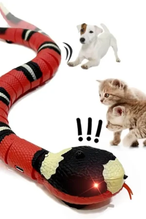 Snake Cat Toy for Cats